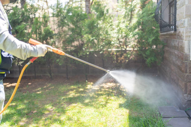 Pest Prevention Services in Toulon, IL